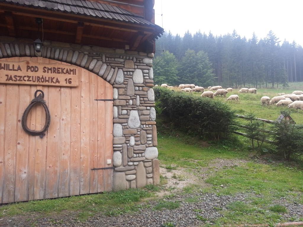 Willa Pod Smrekami Zakopane Zewnętrze zdjęcie